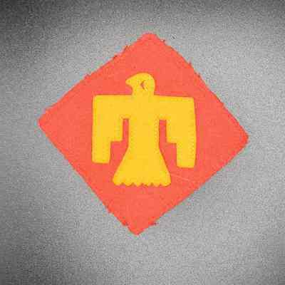 Felt Thunderbird Patch