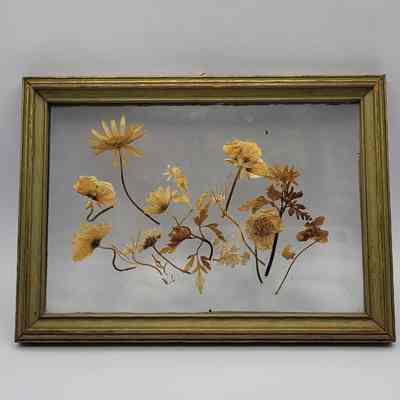 Flowers from Anzio