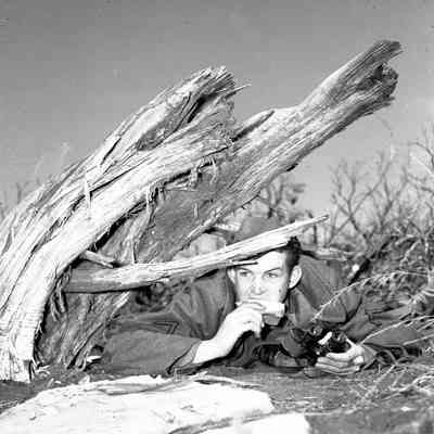 Soldier eating a sandwich and holding binoculars posed under a tree stump