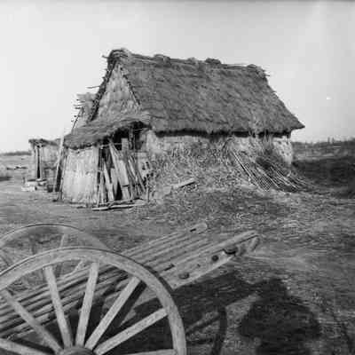 Japanese barn made from thatch