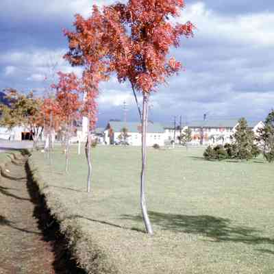 Buildings at Camp Crawford