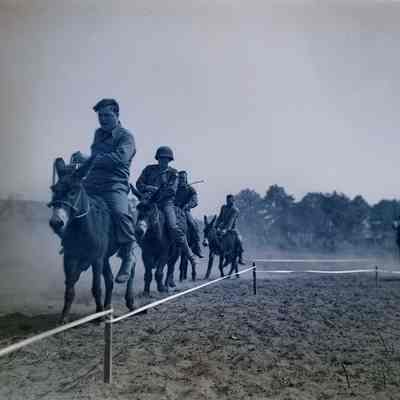 Soldiers racing mules