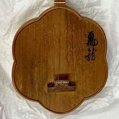 Qinpin (Two-string Chinese banjo)
