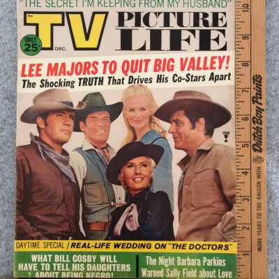 TV Picture Life magazine December 1966