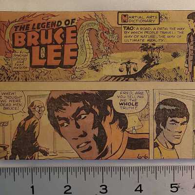 The Legend of Bruce Lee Comic Strip