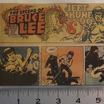 The Legend of Bruce Lee Comic Strip, n.d.