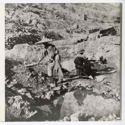Photograph of Chinese Gold Miners with Pick or Rocker