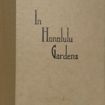 In Honolulu Gardens