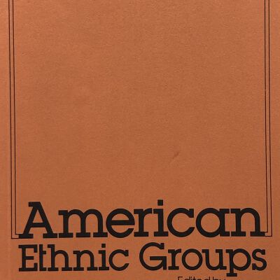 American Ethnic Groups
