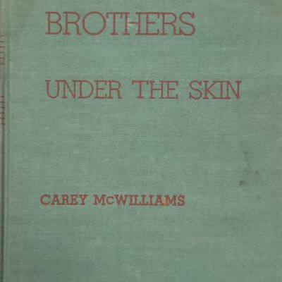 Brothers Under the Skin