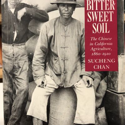 This Bittersweet Soil