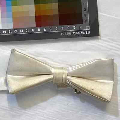 Nightclub Costume Bow Tie