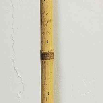 Spear