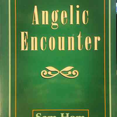 Angelic Encounter