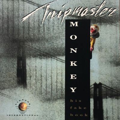 Tripmaster Monkey: His Fake Book