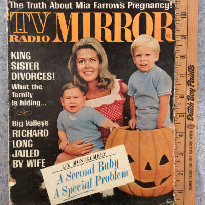 TV Radio Mirror magazine November 1966