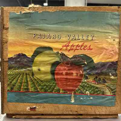 Pajaro Valley Apples Wood Crate