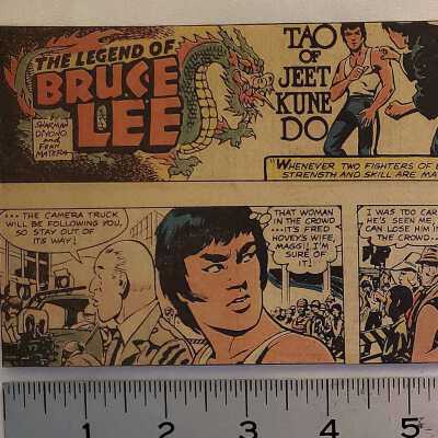 The Legend of Bruce Lee Comic Strip