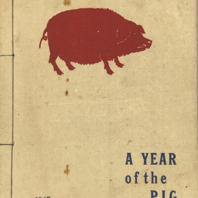 A Year of the Pig
