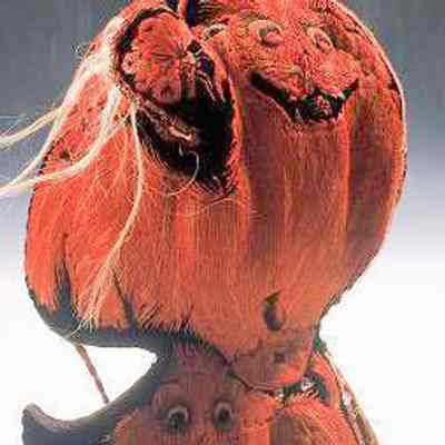 Fu Dog Hat