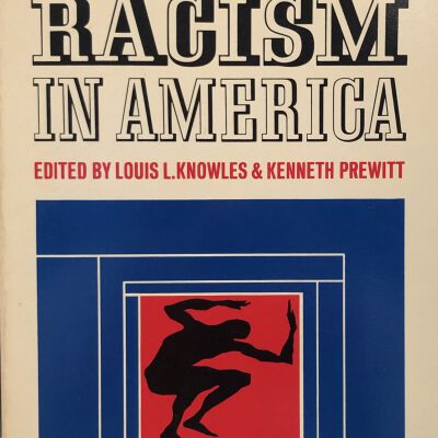 Institutional Racism in America