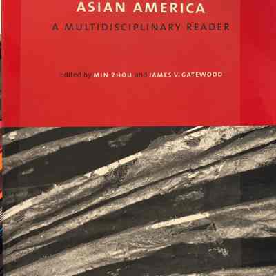 Contemporary Asian America: A Multidisciplinary Reader