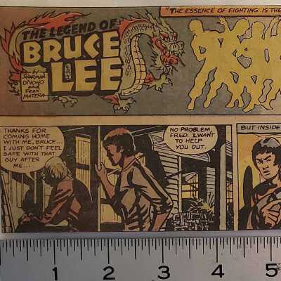 The Legend of Bruce Lee Comic Strip