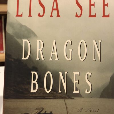 Dragon Bones