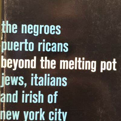 Beyond the Melting Pot