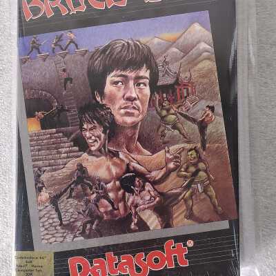 Bruce Lee Action Strategy Game