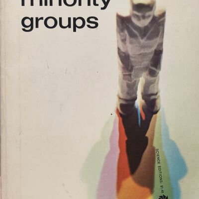 Understanding Minority Groups