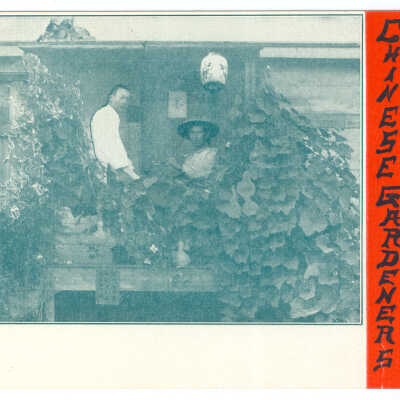 Postcard, Los Angeles, Chinese Gardeners in California