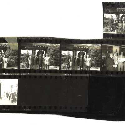 Film