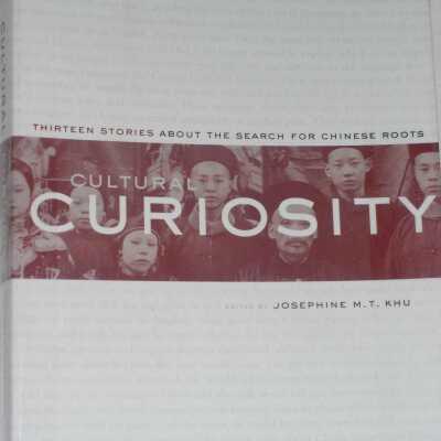 Cultural Curiosity: Thirteen Stories About the Search for Chinese Roots