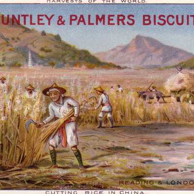 Huntley & Palmers Biscuits