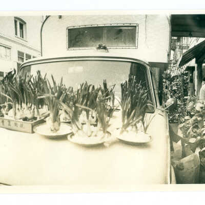 Photograph, Chinatown Flower Market