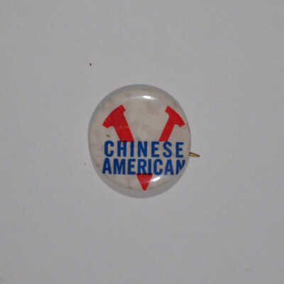 Chinese American Pin