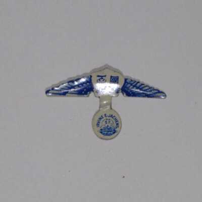 Wings Pin