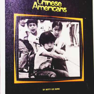 An Album of Chinese Americans