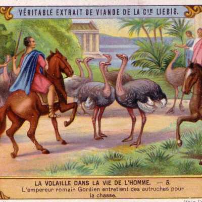 La Bolaille Dans La Vie De L'Homme-5