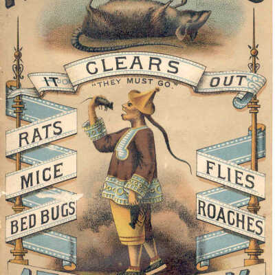 Rough on Rats