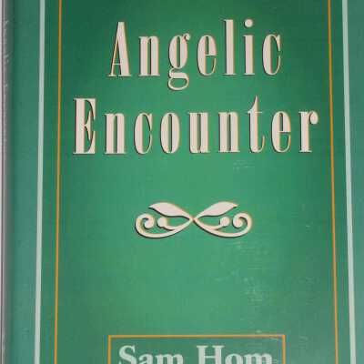 Angelic Encounter