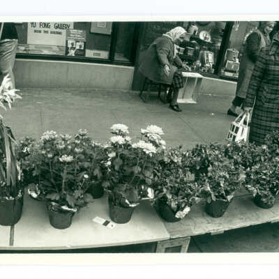 Photograph, Chinatown Flower Market