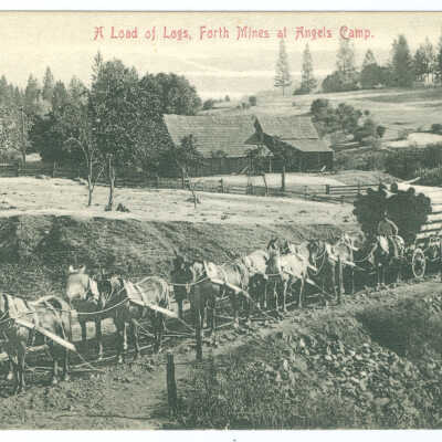 A Load of Logs, Forth Mines at Angels Camp
