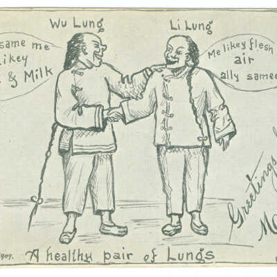 A Healthy Pair of Lungs