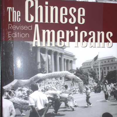 The Chinese Americans