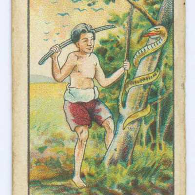 Tobacco Card,