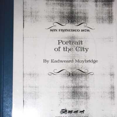 San Francisco 1878: Portrait of the City