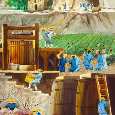 Vineyard Workers in Sonoma County
