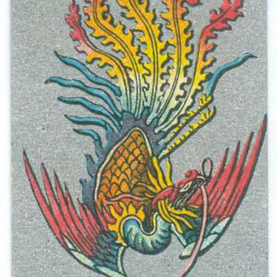 Tradecard, phoenix
